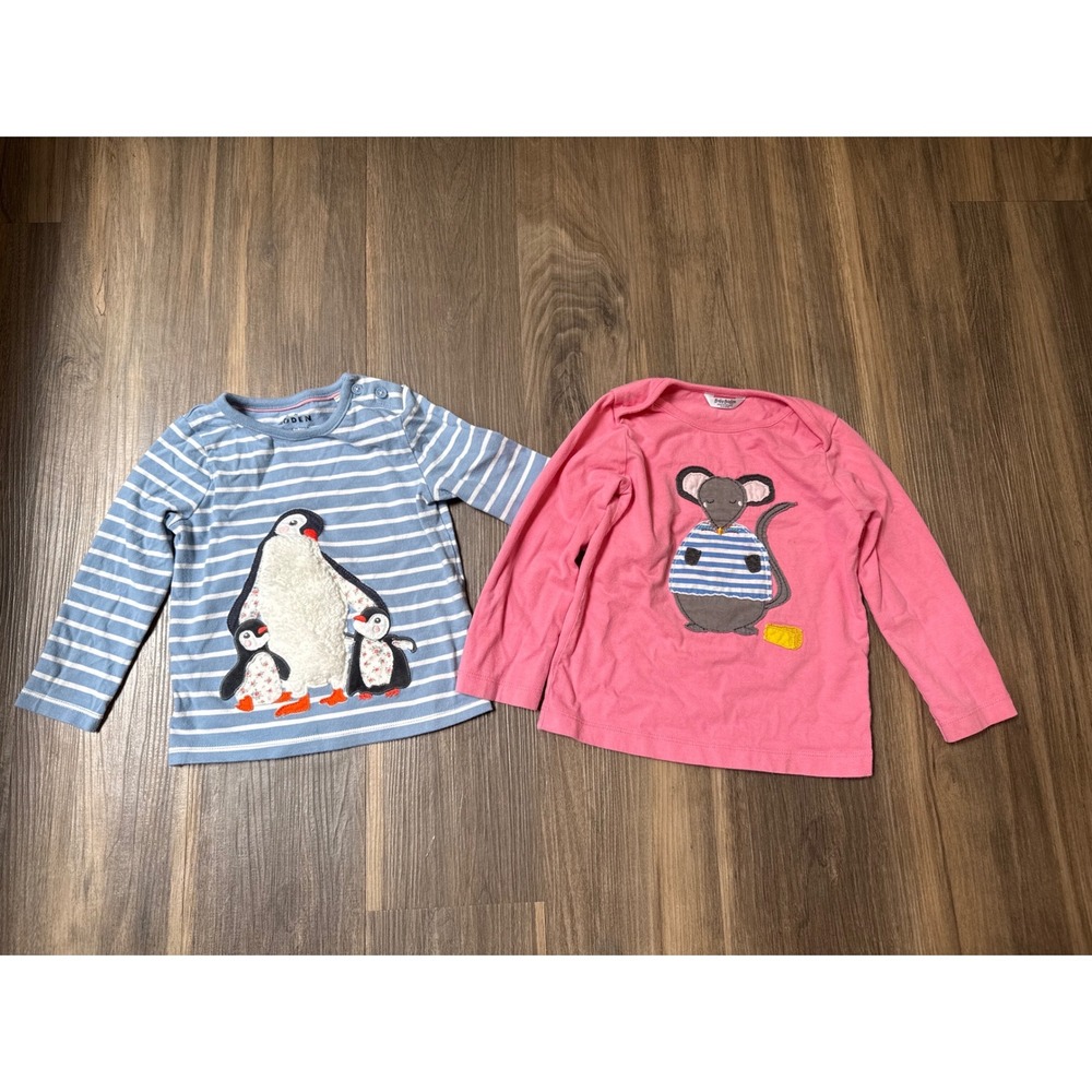 Mini Boden Baby Girl Applique Long Sleeve Shirts Lot of 2 18-24 Months READ